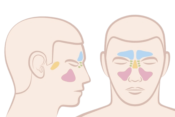 Sinus congestion and pressure relief treatment