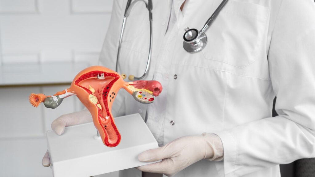 The image features a medical professional holding a model of the female reproductive system, symbolizing the expertise in vaginal discharge treatment in Chicago urgent care clinic.