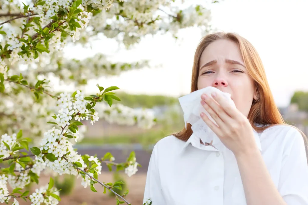 Understanding if pollen allergy can cause fever