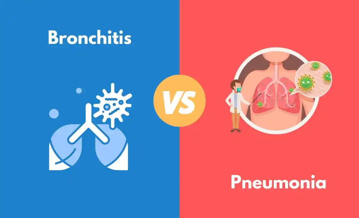 difference between bronchitis and pneumonia